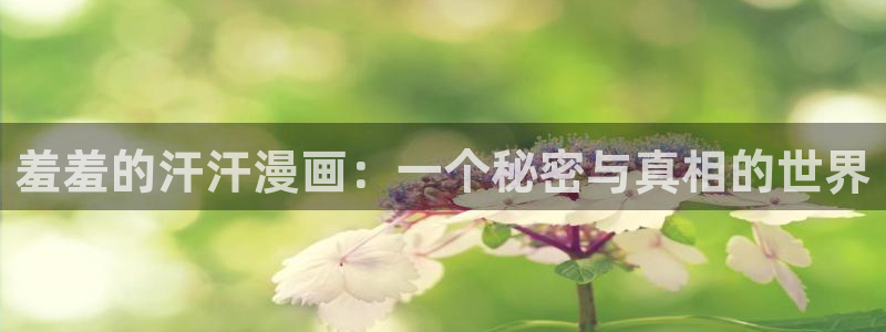 omofun动漫下载动漫全免费：羞羞的汗汗漫画：一个秘密与真相的世界