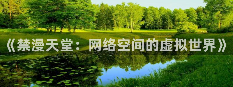 omofun动漫下载：《禁漫天堂：网络空间的虚拟世界》