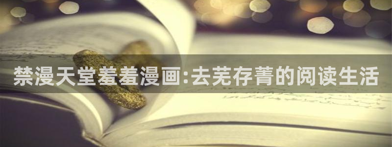 韩国漫画平台kakaopage：禁漫天堂羞羞漫画:去芜存菁的阅读生活