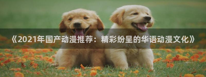 韩国漫画平台kakaopage：《2021年国产动漫推荐：精彩纷呈的华语动漫文化》