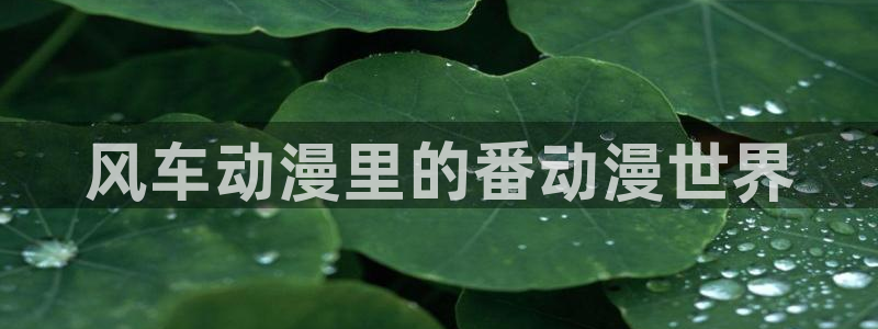 omofun动漫官网网址：风车动漫里的番动漫世界
