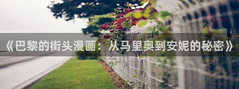 stagenehind韩漫免费观看：《巴黎的街头漫画：从马里奥到安妮的秘密》