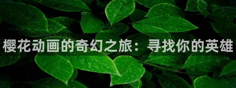 managereader漫画官网入口：樱花动画的奇幻之旅：寻找你的英雄