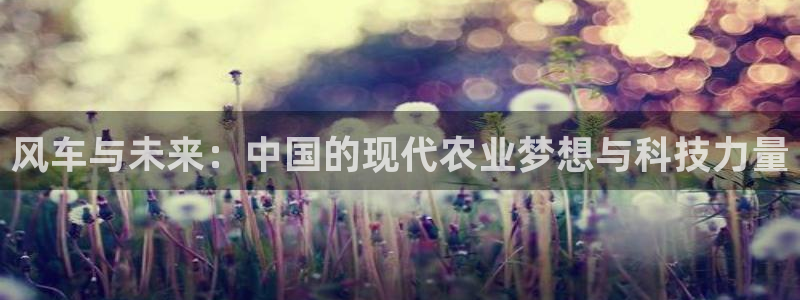 kakaopage韩漫官网：风车与未来：中国的现代农业梦想与科技力量