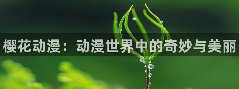 omofun动漫网上看：樱花动漫：动漫世界中的奇妙与美丽