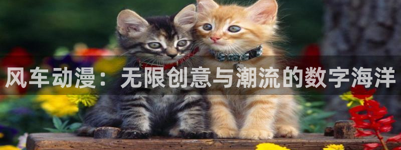 omofun动漫下载入口：风车动漫：无限创意与潮流的数字海洋