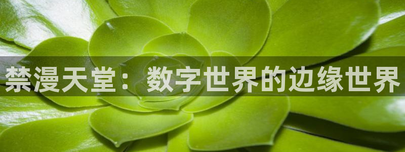 拷贝漫画 copymanager.ory网站：禁漫天堂：数字世界的边缘世界