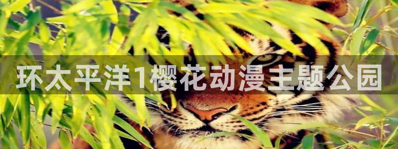 omofun动漫下载：环太平洋1樱花动漫主题公园