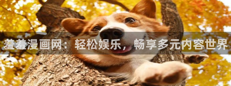 omofun动漫网上看：羞羞漫画网：轻松娱乐，畅享多元内容世界