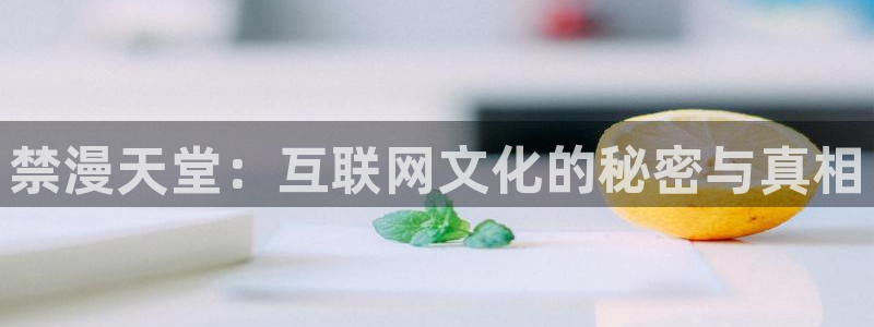 omofun动漫正版网：禁漫天堂：互联网文化的秘密与真相