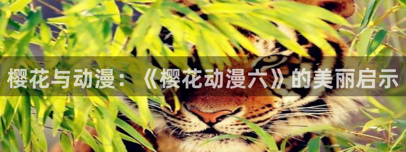 stagenehind韩漫免费观看：樱花与动漫：《樱花动漫六》的美丽启示
