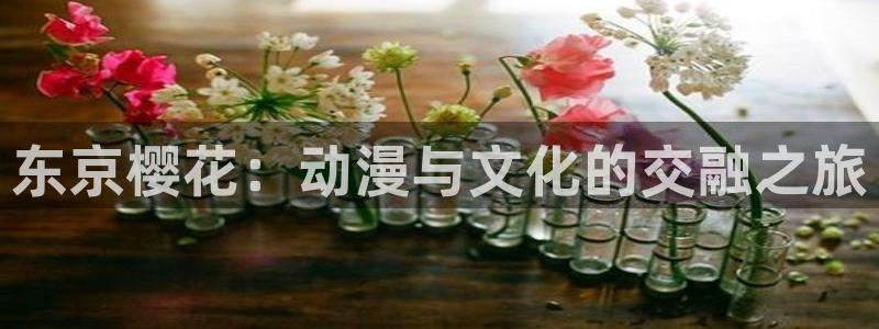 backstage韩漫免费观看：东京樱花：动漫与文化的交融之旅