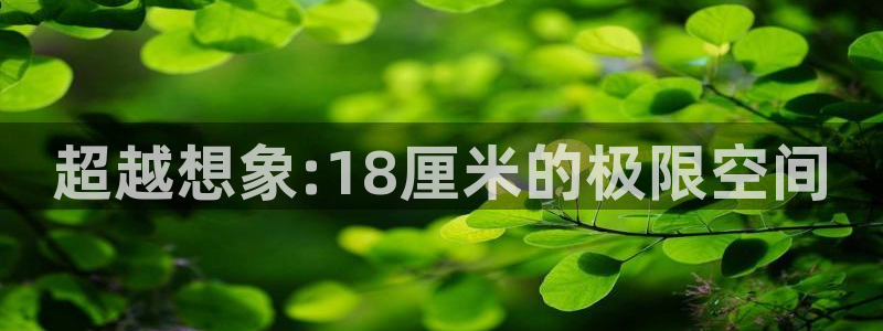 omofun动漫官网版入口：超越想象:18厘米的极限空间