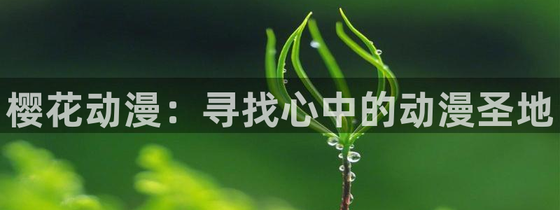 omofun动漫官网版入口：樱花动漫：寻找心中的动漫圣地