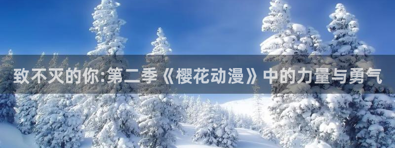 omofun动漫官网网址：致不灭的你:第二季《樱花动漫》中的力量与勇气