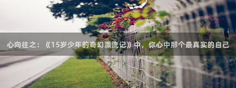 omofun动漫樱花：心向往之：《15岁少年的奇幻漂流记》中，你心中那个最真实的自己