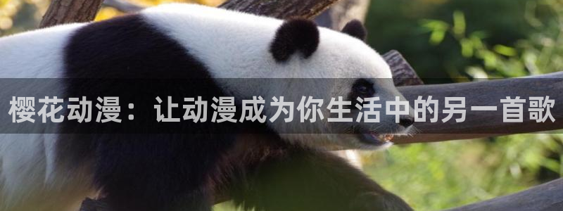 managereader漫画官网入口：樱花动漫：让动漫成为你生活中的另一首歌